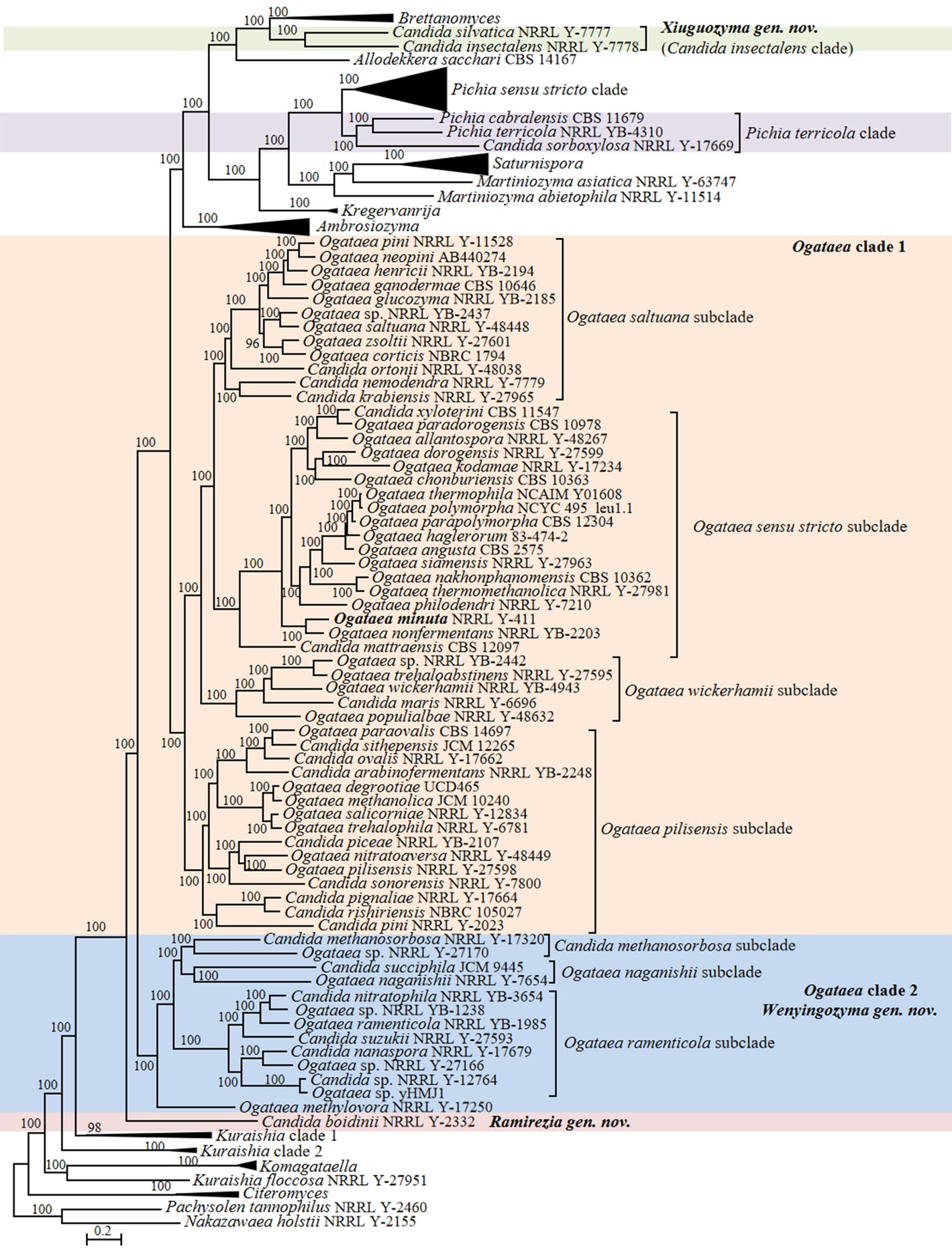 Figure 6